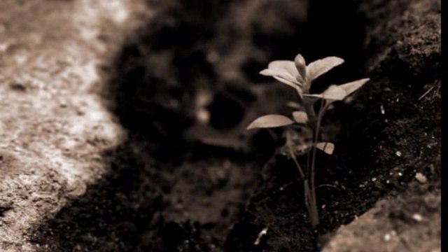 ELİF REYYA NAZ-VEYSEL ÇOLAK GİZ