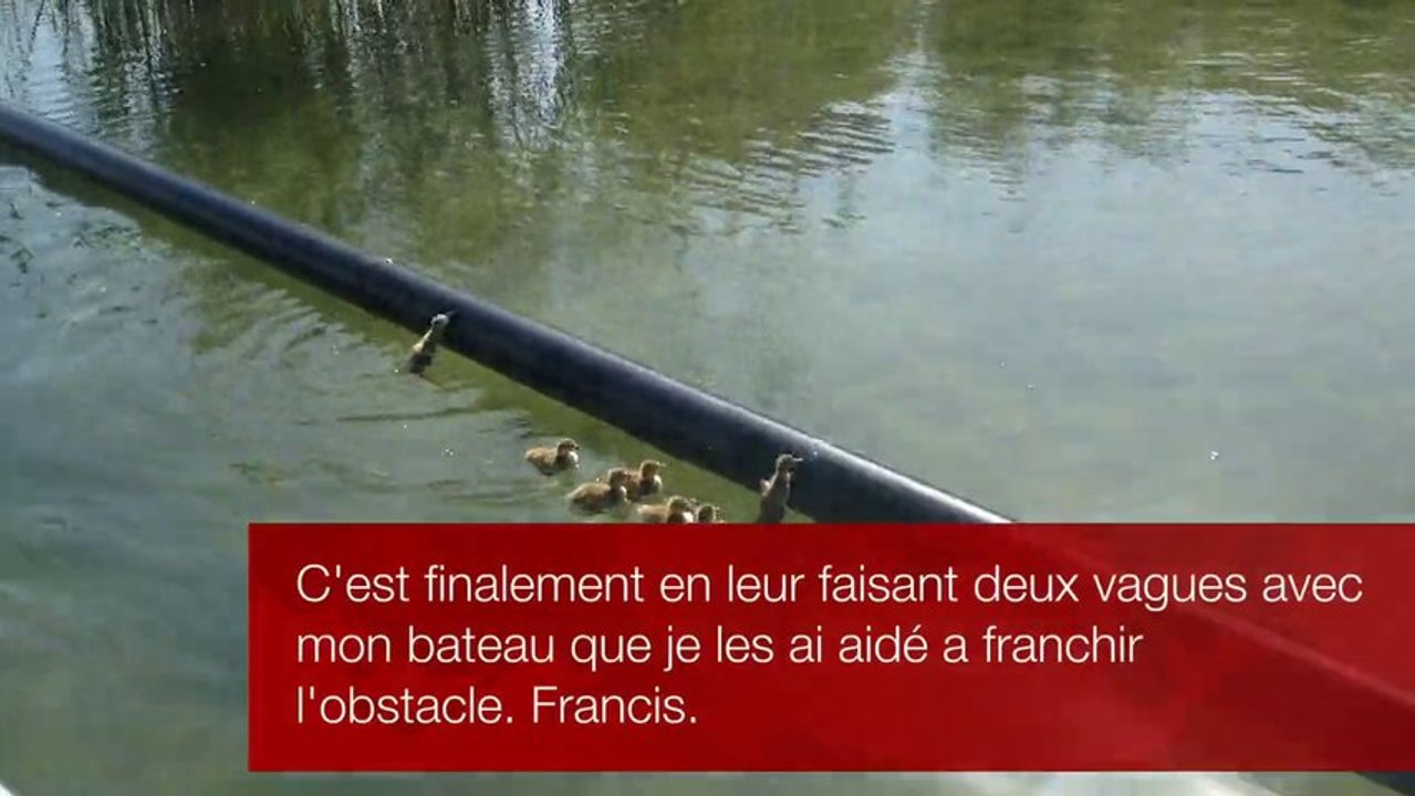 Trop dur maman!