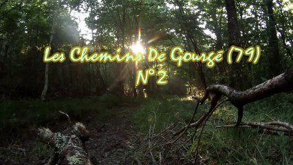les chemins de Gourgé n°2 (79), les p'tits lu