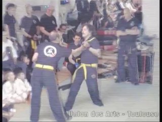 Cours de Self defense à Toulouse - spectacle 2013 - union des arts -