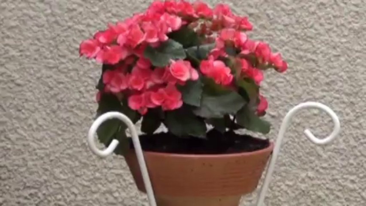 Fontaine les Dijon "proche" maison ancienne rénovée - Agence CARREZ immobilier