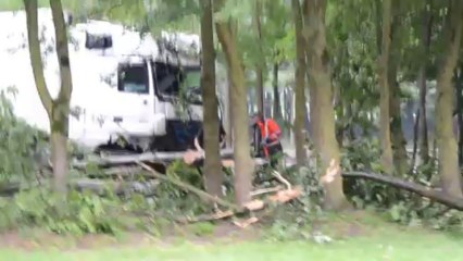 Un camion finit sa course dans les arbres à Maisières