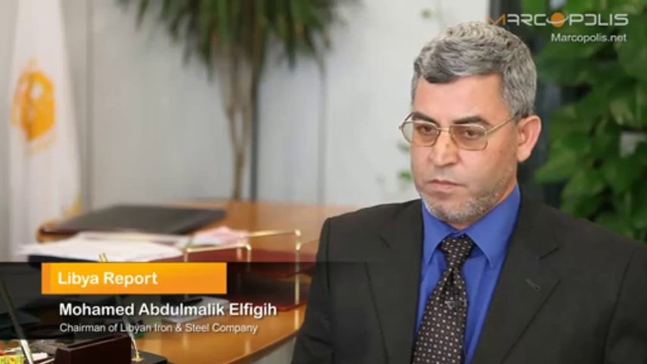 Libyan Iron & Steel Company: Strategy and expansion plans