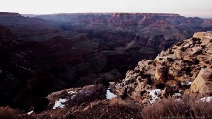 Why Support the "GODDESS (prelude)" short film? The video Monsanto doesn't want you to see.