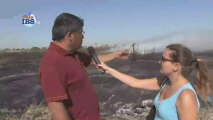 2013-08-05 Incendio devasta 20 mila metri quadrati a Capo Feto