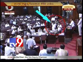 TDP MPs demand justice to Seemandhra