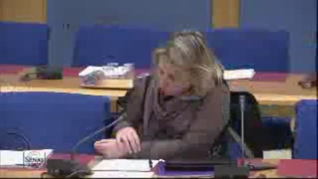 130219 Cukierman audition AMF