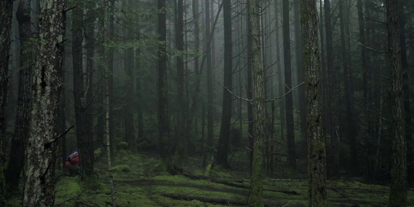 iXS feat. Darren Berrecloth  Riding on Hornby Island, British Columbia