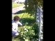 Une voisine complètement tarée vole de la rhubarbe dans un jardin... Et ne veut pas s'arrêter!!