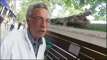 Y a-t-il un crocodile dans les égouts de Paris ?