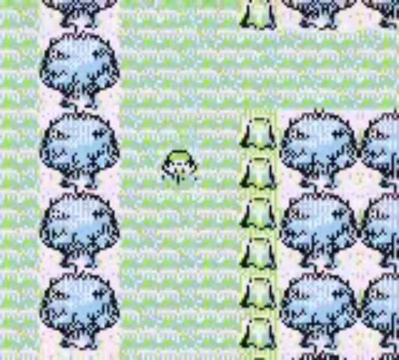 Walkthrough Pokémon Rouge 02- Argenta,nous voilà !