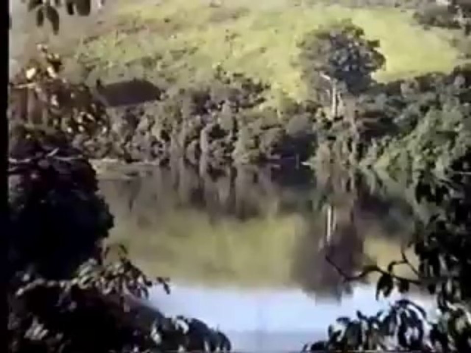 Ovnis - Vidéo - [Brésil] Ovni ou drone - 1998