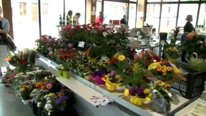 Animations au Marché couvert du Cateau