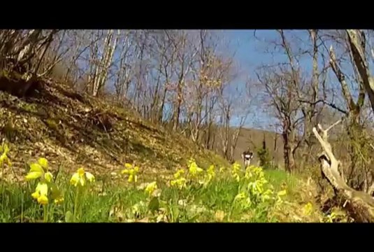 BEAUJOLAIS VILLAGES TRAIL : film résumé 3ème édition