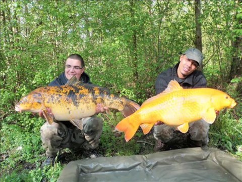 big carpe session de psycophate avril 2012