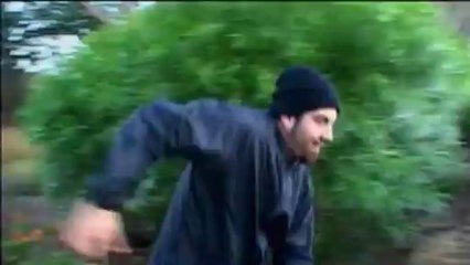 Deftones - Music In High Places Live in Hawaii