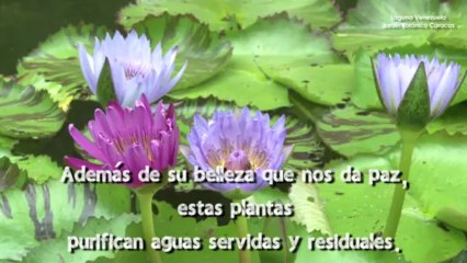 Eco Prácticas: ¿Necesita más razones para proteger las especies?