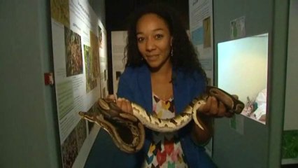Les reptiles s'invitent au muséum d'histoire naturelle de Tours