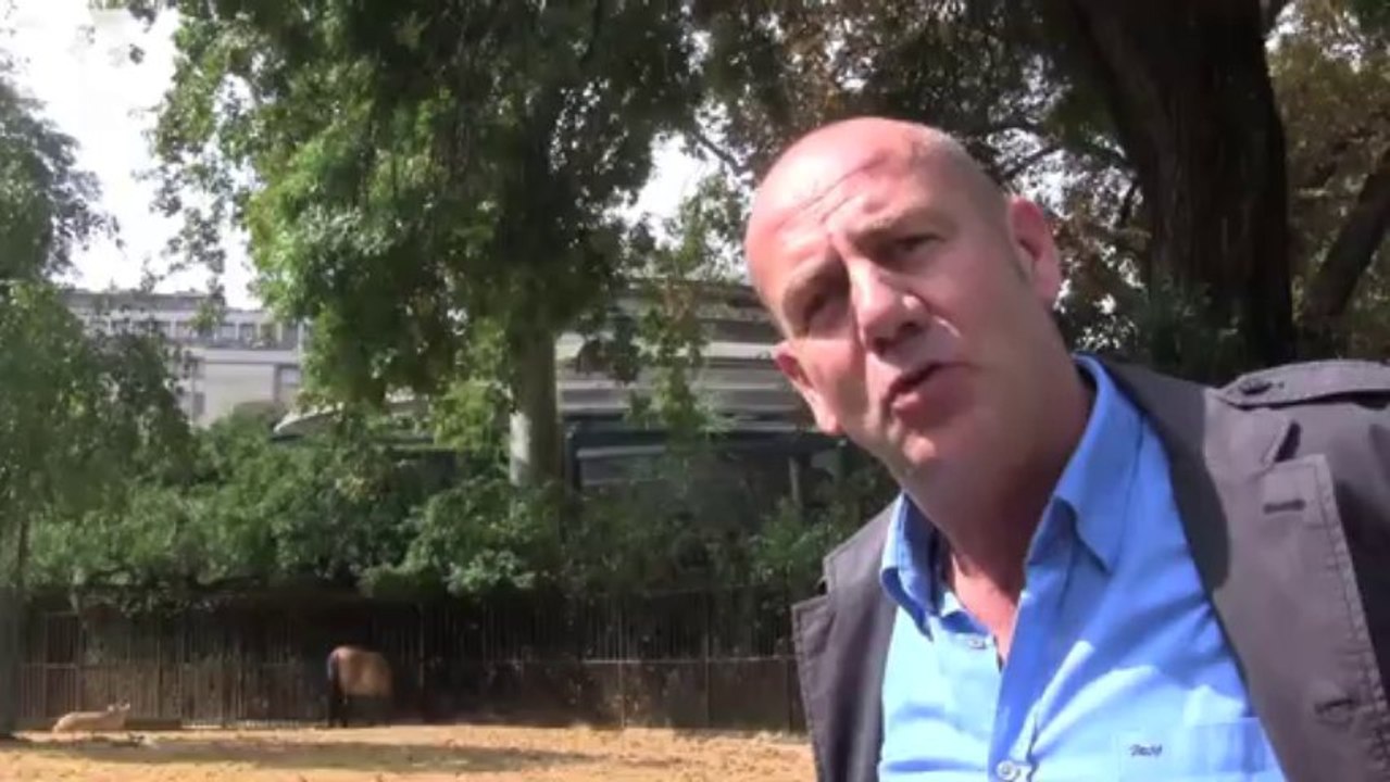 Naissances à la Ménagerie du Jardin des plantes