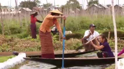 Salvar el lago Inle | versión corta | Ideas globales