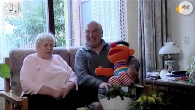 Des poissons transgéniques qui brillent dans nos assiettes !