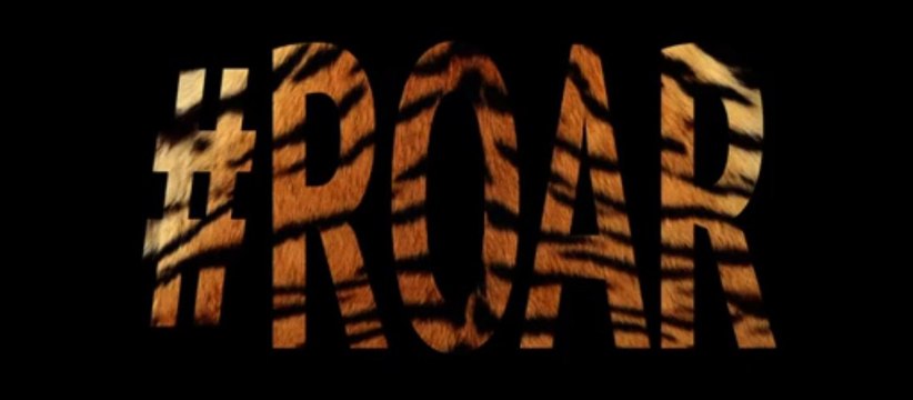 Katy Perry - Roar - From A Meow To A Roar