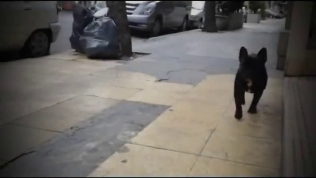 Moro triste (HuMoro)