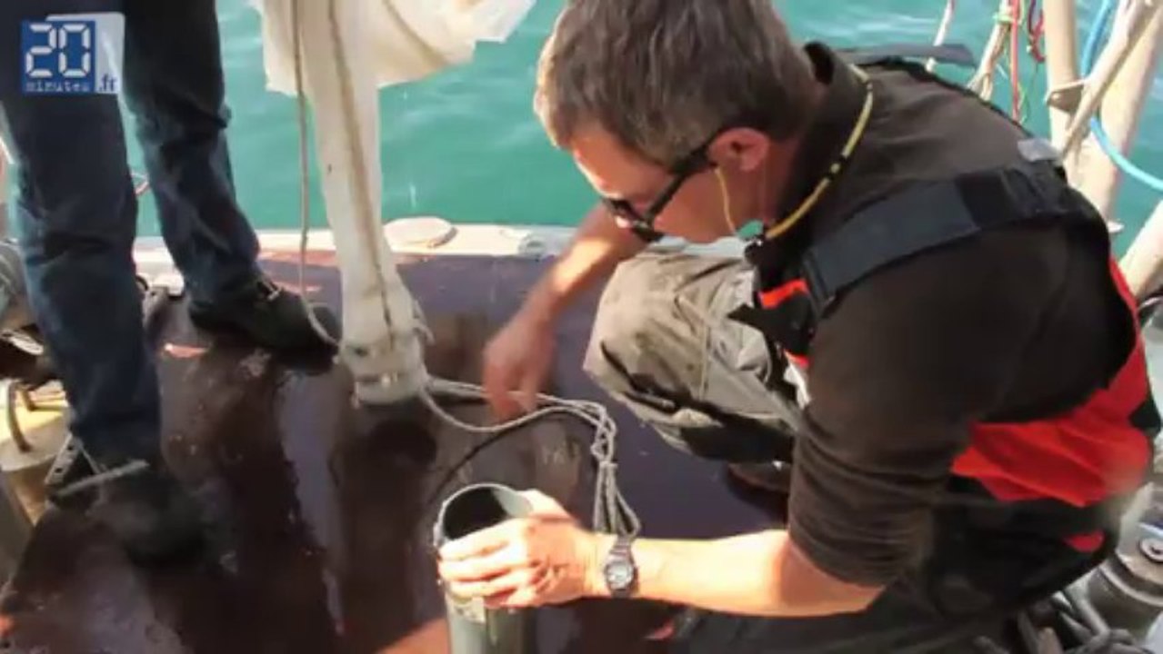 Analyse du plancton à bord du TARA