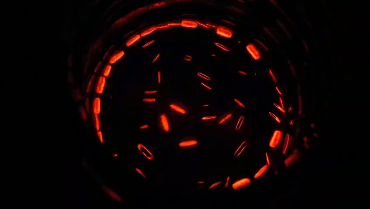 Chemolumineszenz eines Rutheniumkomplexes - Chemiluminescence of a ruthenium bipyridyl complex