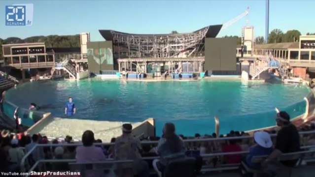 Le Friday Sport fait sa fête au nouveau maillot des Bleus