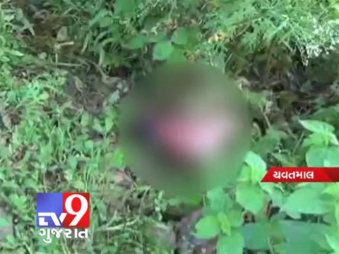 Tv9 Gujarat - Mumbai : Dogs ate abandoned newborn girl's body near Yavatmal hospital