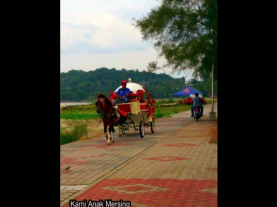 Kereta Kuda Mersing 豐盛港馬車