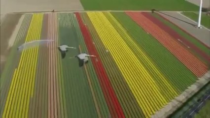 [JT] Dimitriy Bulakov-Cape Town-[Original Mix]-Fly Warp [HD]