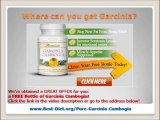 Garcinia Cambogia - Does It Really Help You Lose Weight?