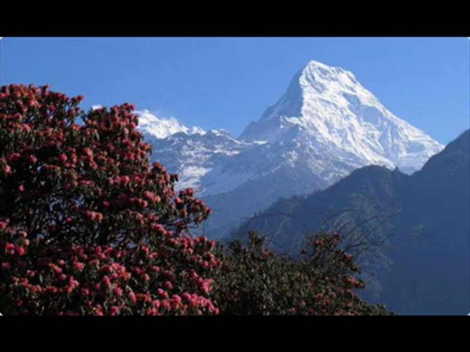 Nepal Travel, Nepal Tour, Tour Company in Nepal, Nepal Travel Agency