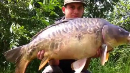 Delkim et carpe Maxime team DG MULTIPECHE