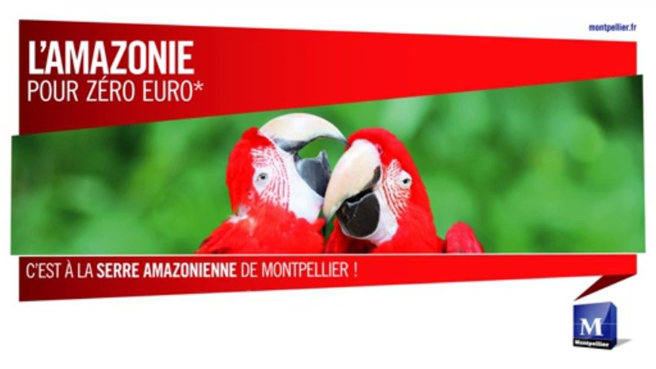 Montpellier - Amazonie