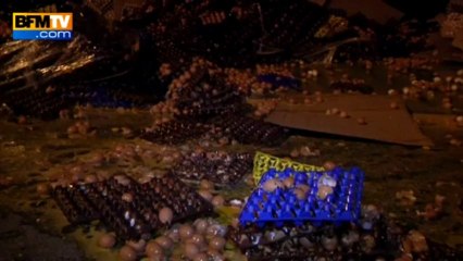 100.000 œufs détruits par les producteurs en signe de protestation - 08/08