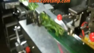 Automatic vegetable sealing machine