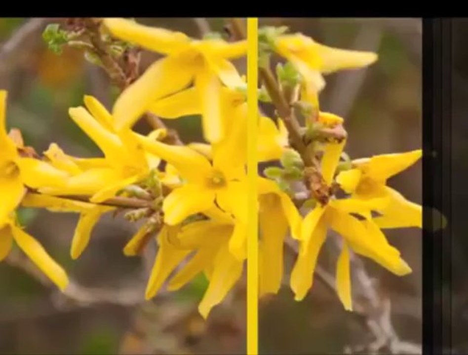 Okuldaki Meraklı, 18 Nisan Perşembe 17.15'te TRT Okul'da