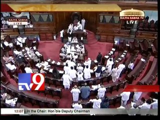 Parliament stalled due to shouting Seemandhra MPs