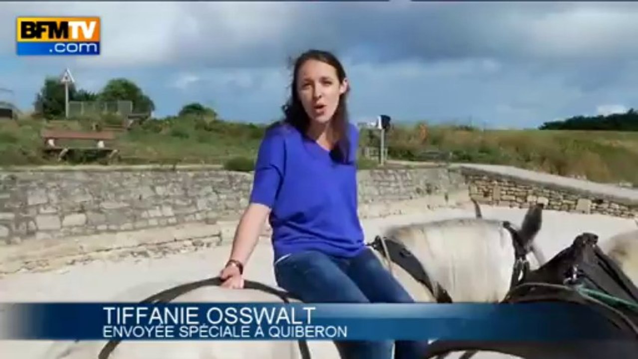 Une semaine en Bretagne: nettoyage de plage en...