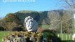 Rotorua Tourist Attractions | Budget Accommodation Rotorua