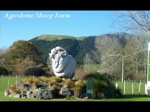 Rotorua Tourist Attractions | Budget Accommodation Rotorua