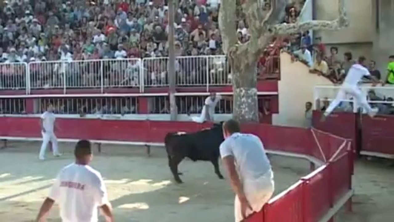 CC Marguerittes - Finale de la Margueritte d Or 2013 - 30082013