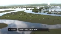 Husbandry impeded by flooding in North China - no comment