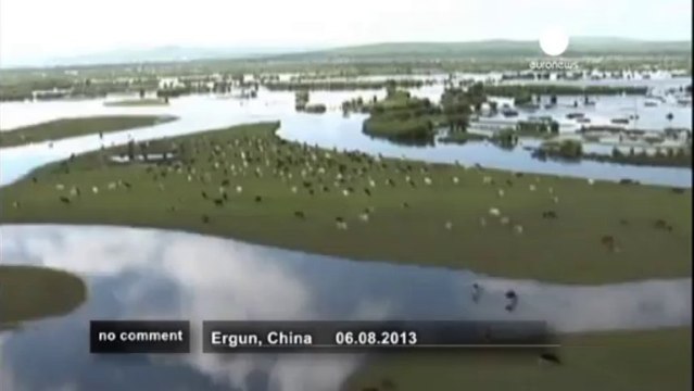 Les inondations piègent des bêtes dans le... - no comment