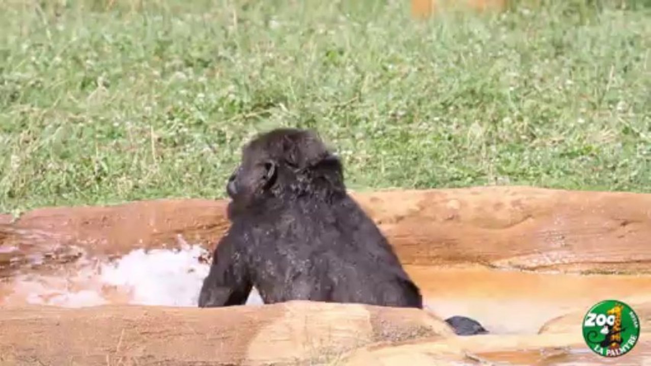 L'heure du bain