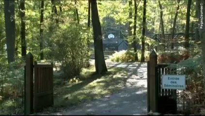 Harum trium sententiarum