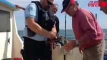 Les gendarmes maritimes interpellent les plaisanciers - Les gendarmes du Patrouilleur Glaive traquent les infractions de la mer